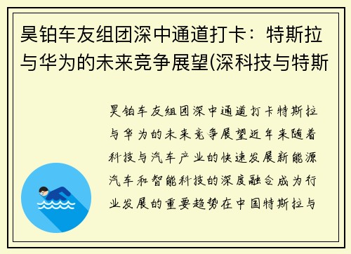 昊铂车友组团深中通道打卡：特斯拉与华为的未来竞争展望(深科技与特斯拉合作)