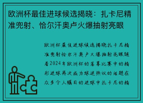 欧洲杯最佳进球候选揭晓：扎卡尼精准兜射、恰尔汗奥卢火爆抽射亮眼